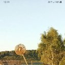 ���� ������ ����������, ������, 40 ��� - ��������� 15 ��� 2025 � ������ ���� ����������