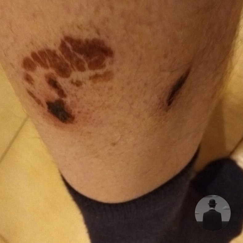 : ,     .      ... - 2