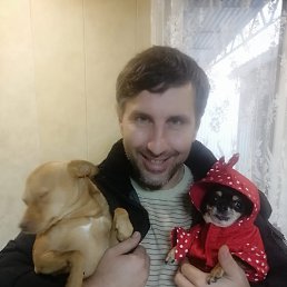 �������, 37 ���, ���������