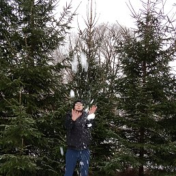 ���� �������, �������, 38 ��� - ��������� 4 ����� 2026