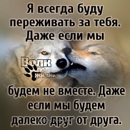 ���� ����, ������, 40 ��� - ��������� 21 ������ 2024