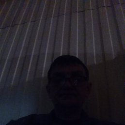 , 53 , 
