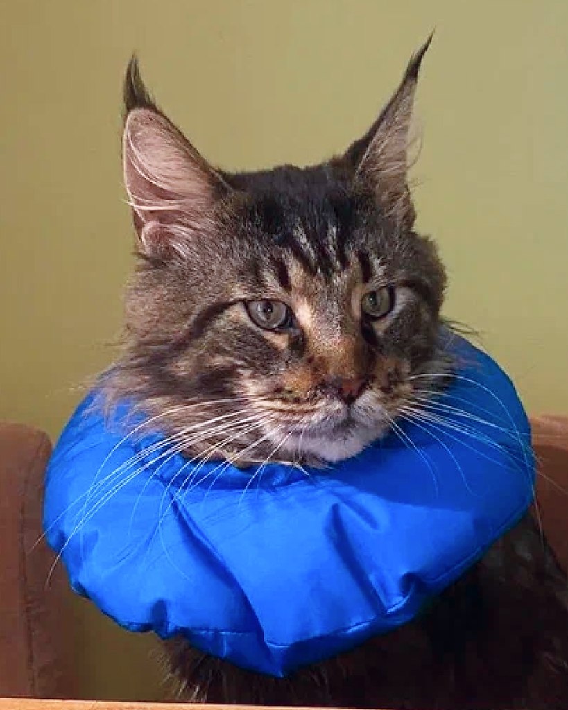 ������� ������ �� �������� ������ ����. �������� ������� ������� �� ��������� � �������! ���� � ... - 3