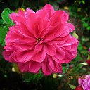 ���� ������, ��������� - ��������� 9 ������ 2025 � ������ ������ �� �����