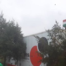 ���� �������, �����-���������, 38 ��� - ��������� 13 ������� 2023