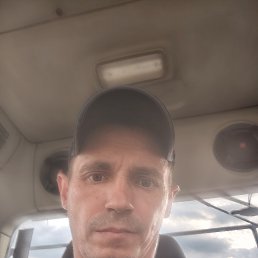 �����, 39 ���, ����