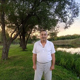 , 65, 