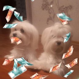 ������, ���������, 54 ����