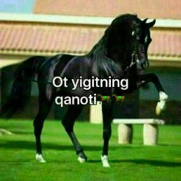 ���� Samarqand, ������, 26 ��� - ��������� 6 ������� 2023