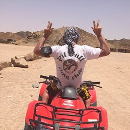 Pitbull, �����������, 56 ���