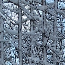 ������., ���, 52 ����