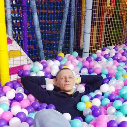 �����, 41 ���, ����������