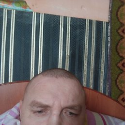 ����, 42 ����, �����������