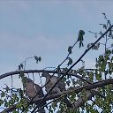 ���� Nastasya, ����, 34 ���� - ��������� 22 ������ 2026 � ������ ������ ��������