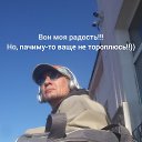 ���� ���-�, �����, 42 ���� - ��������� 17 ������� 2026 � ������ ���� ����������