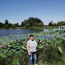 ���� ��������, ������������, 65 ��� - ��������� 10 ������ 2024 � ������ ���� ����������