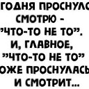 ���� �����, ������ ����� - ��������� 26 ����� 2026 � ������ ������ ��������