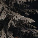 ���� ������, ����������, 49 ��� - ��������� 29 ������ 2026 � ������ ���� ����������