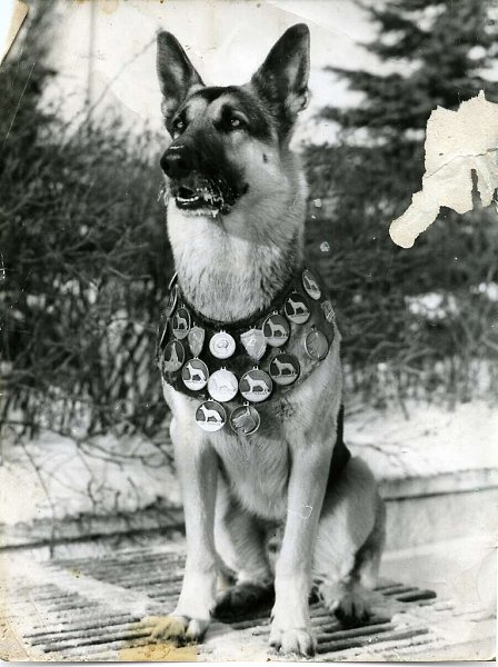 13 ����� - ���� �����-���������. -------------------------------- � ���� ������� ������������� ����� ...