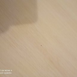 ������, ������, 20 ���