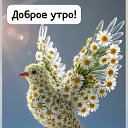 ���� �����, ����������� - ��������� 11 ������� 2025 � ������ ������ ��������