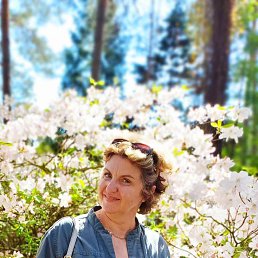 , 53, 