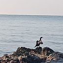 ���� ������, �������, 45 ��� - ��������� 11 ������ 2026 � ������ ���� ����������