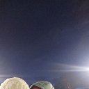 ���� �������, ����������, 43 ���� - ��������� 27 ������ 2024 � ������ ���� ����������