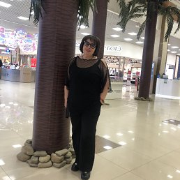 ���� �����, ���������, 62 ���� - ��������� 2 ����� 2026