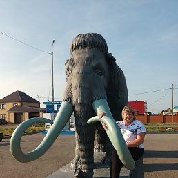 ���������, �������-���������, 43 ����