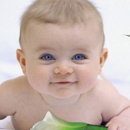 �, ������, 54 ����