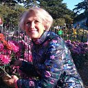 ���� �����, �������� - ��������� 11 ���� 2025 � ������ ���� ����������