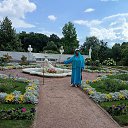  ,  -  5  2025       ,    ,     .