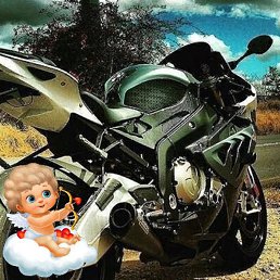 ����, ���������, 53 ����