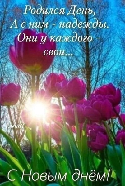  - 5  2025  13:17