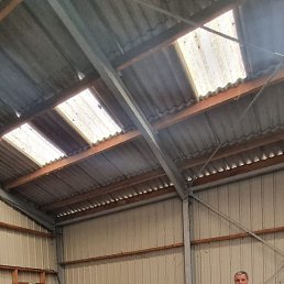 ���� ����, �����, 55 ��� - ��������� 23 ������� 2023