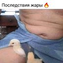 ���� ����, ������, 60 ��� - ��������� 17 ���� 2025
