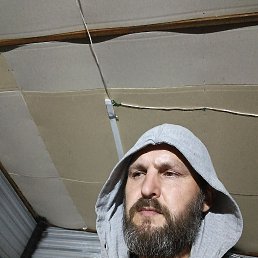 , 43 , 