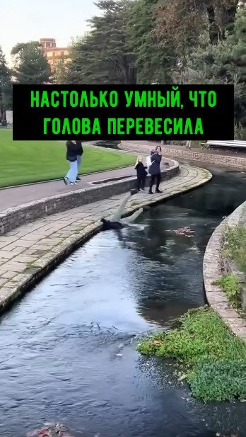 ������� �� ���������, ��� �������� ������ ��������� � ���� - 2