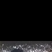 ������, 41 ���, ������