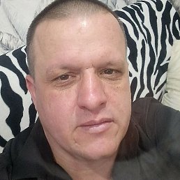 ���������, �����������, 41 ���