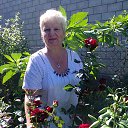 ���� Larisa, ������, 72 ���� - ��������� 20 ������ 2024 � ������ ���� ����������