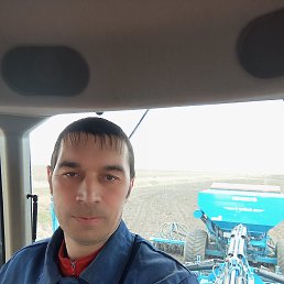 ���� ���������, ���������, 41 ��� - ��������� 8 ������ 2026