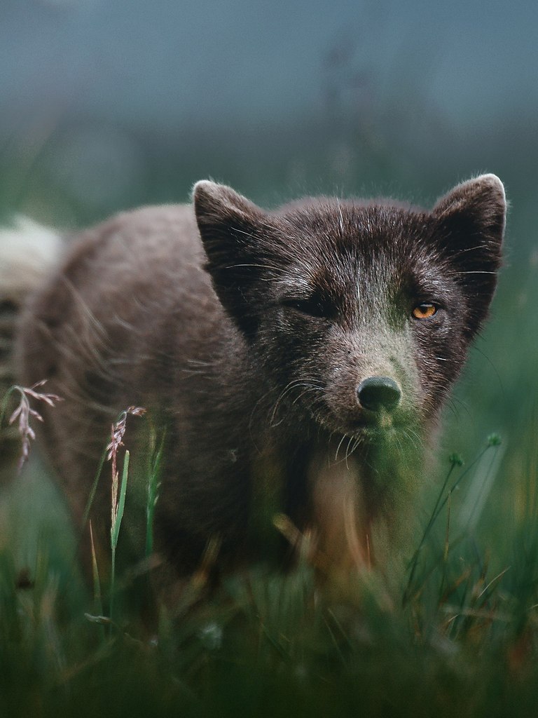     .        :     ... - 4