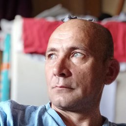 ���� �����������, �����������, 48 ���