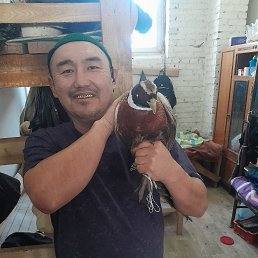 ����, 42 ����, ������