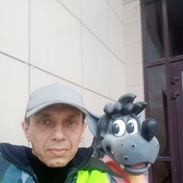 ������, 47 ���, ���������