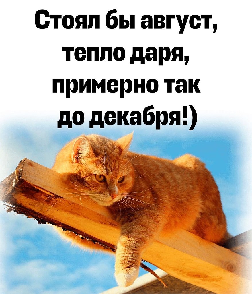   - 22  2025  16:03