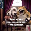 ���� ��������, ������ - ��������� 14 ������� 2025 � ������ ������ ��������