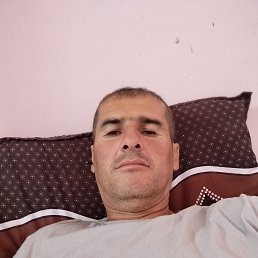 , 29, 